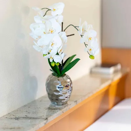 Otel Plaza Blankenburg Ditzingen, Sure Collection 4*