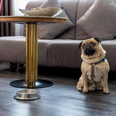 Plaza Blankenburg Ditzingen, Sure Collection 4* דיטזיגן