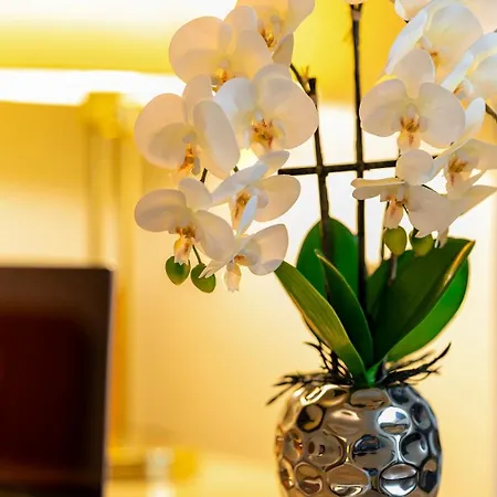 Plaza Blankenburg Ditzingen, Sure Collection Otel