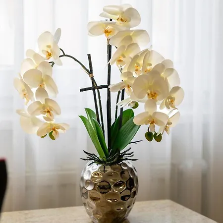 Plaza Blankenburg Ditzingen, Sure Collection 호텔 4*