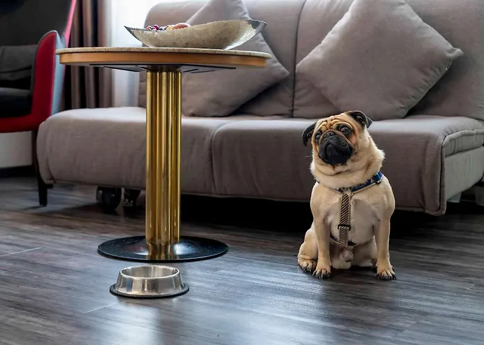 Plaza Blankenburg Ditzingen, Sure Collection 4* 딧칭엔