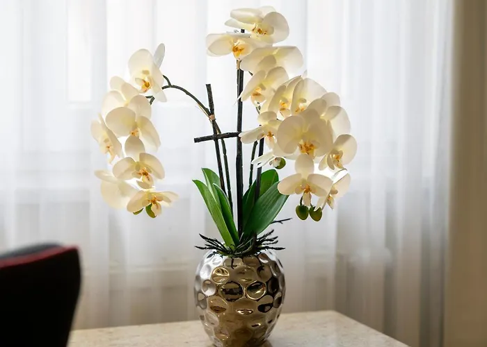 Plaza Blankenburg Ditzingen, Sure Collection Ξενοδοχείο 4*